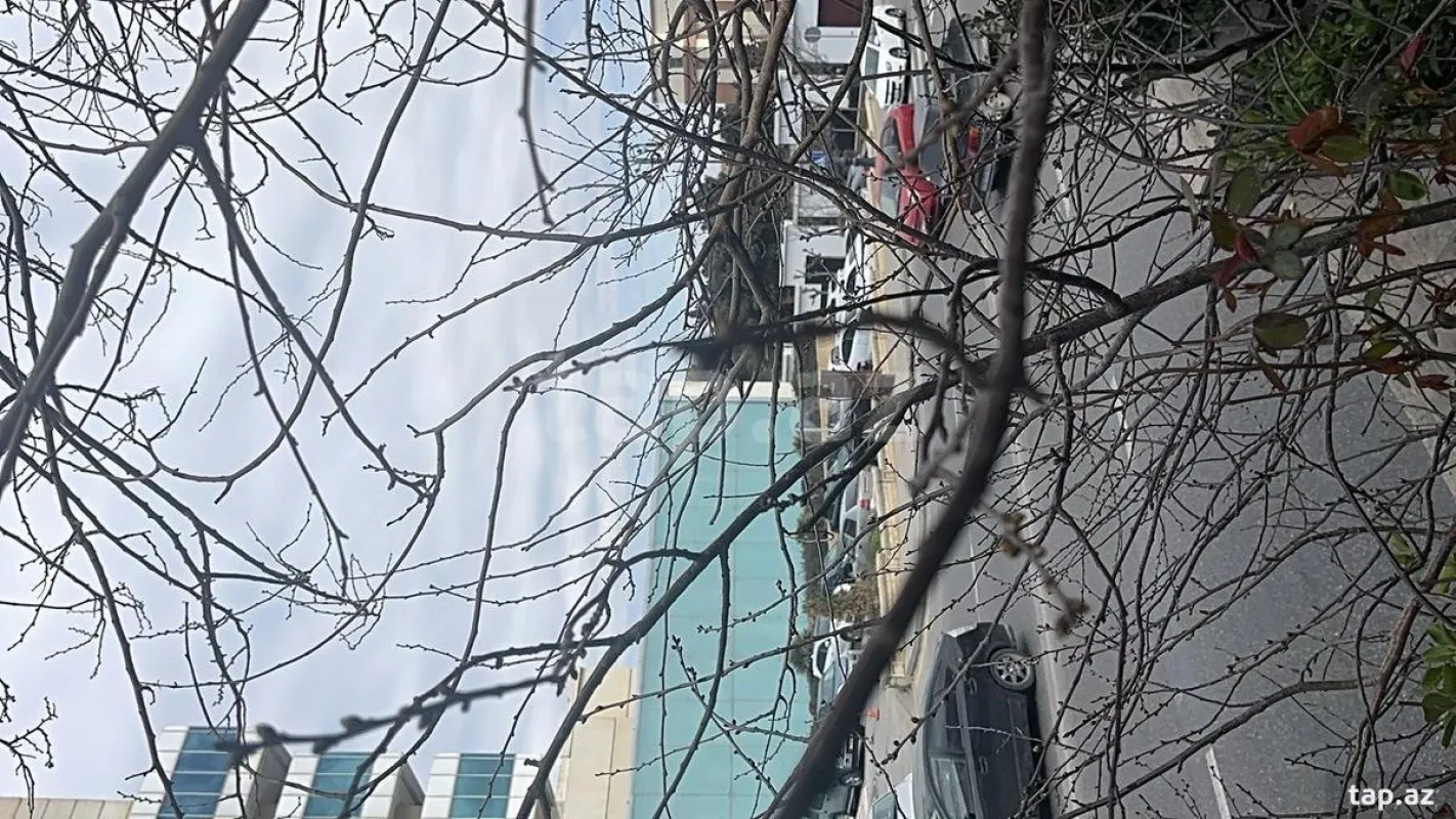 Kirayə verilir ofis