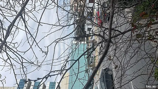 Kirayə verilir ofis