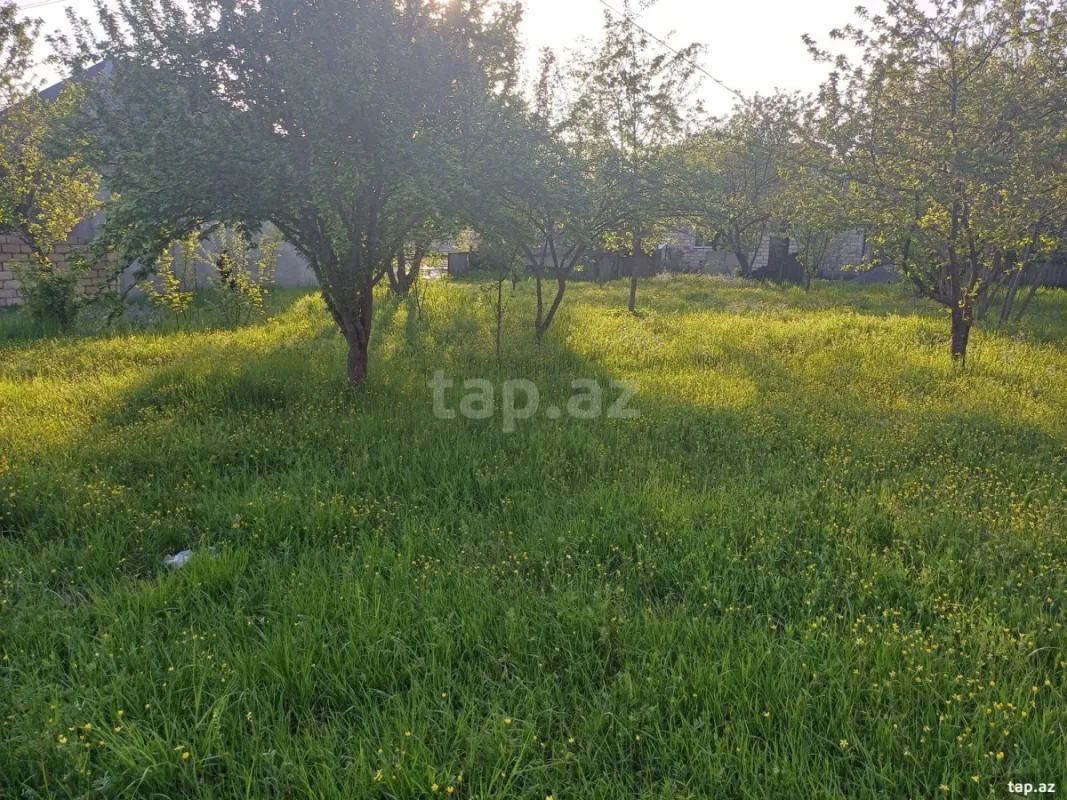 Satılır torpaq sahəsi