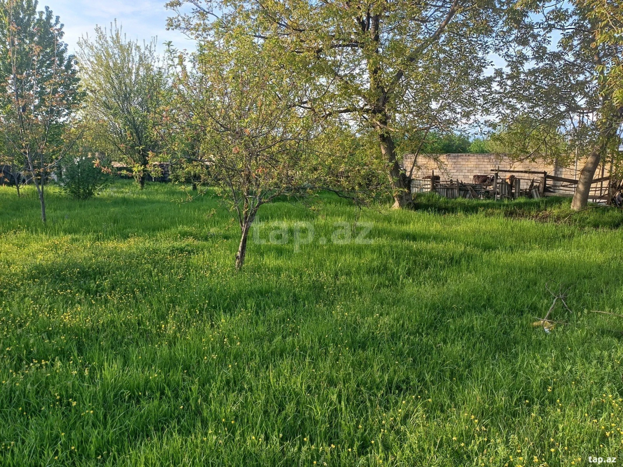 Satılır torpaq sahəsi