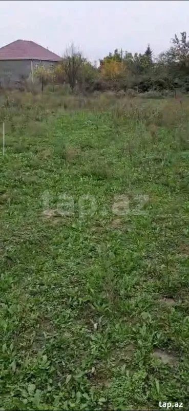 Satılır torpaq sahəsi