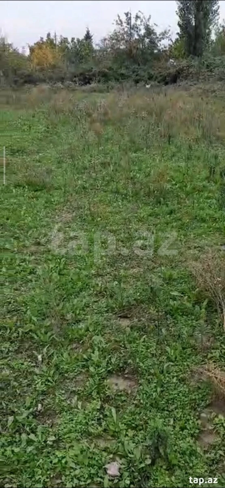 Satılır torpaq sahəsi