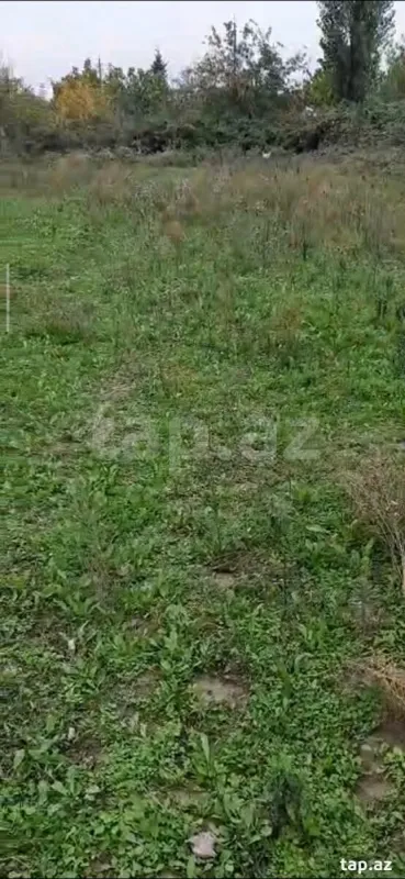 Satılır torpaq sahəsi