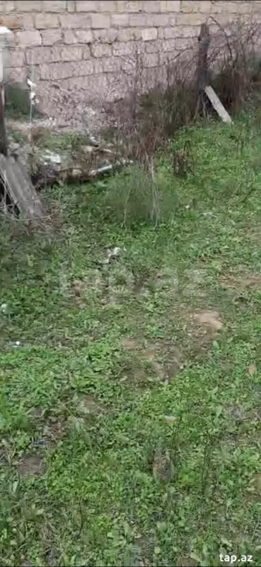 Satılır torpaq sahəsi