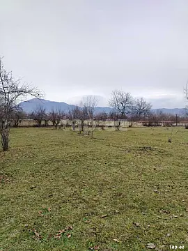 Satılır torpaq sahəsi — Qəbələ