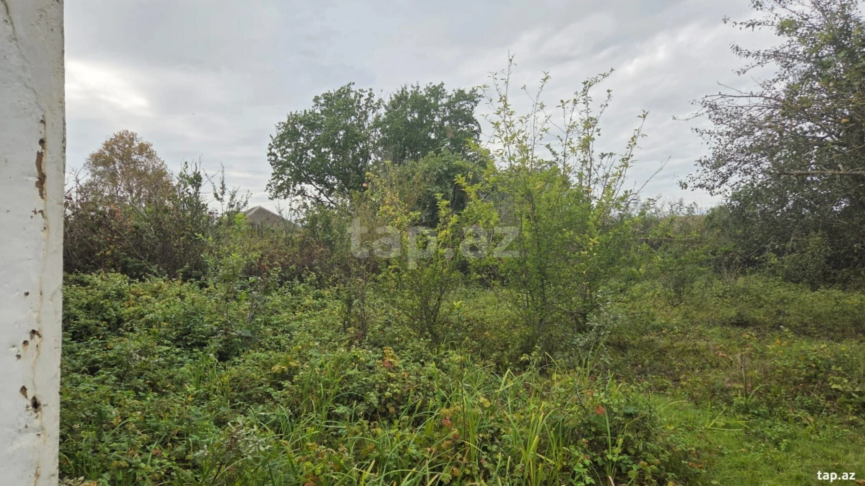 Satılır 3 otaqlı həyət evi 80 m²