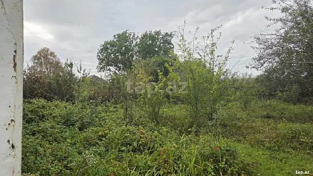 Satılır 3 otaqlı həyət evi 80 m²