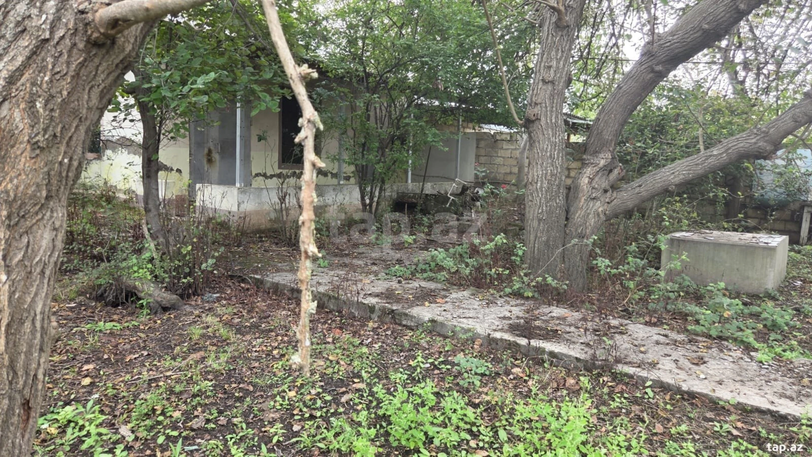 Satılır 3 otaqlı həyət evi 80 m²