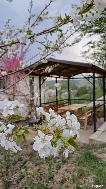 Kirayə verilir 4 otaqlı həyət evi 200 m²