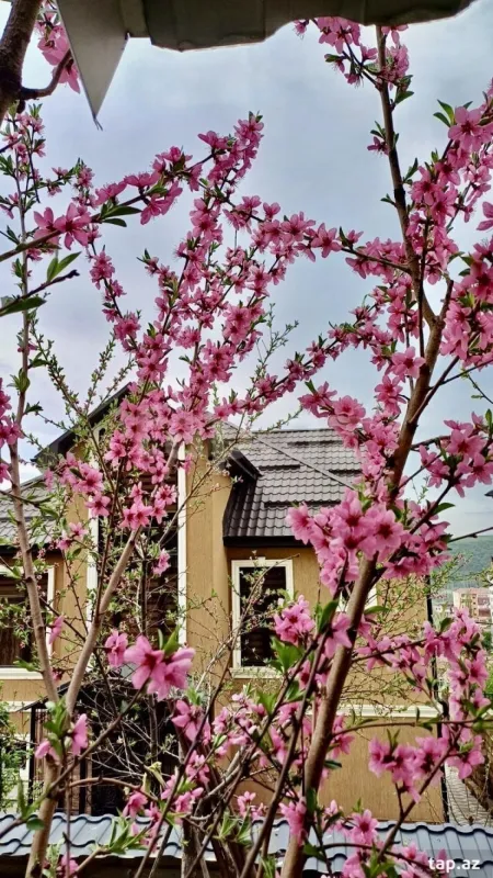 Kirayə verilir 4 otaqlı həyət evi 200 m²