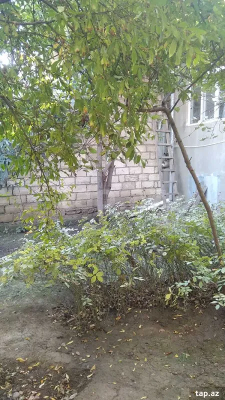 Satılır 3 otaqlı həyət evi 100 m²