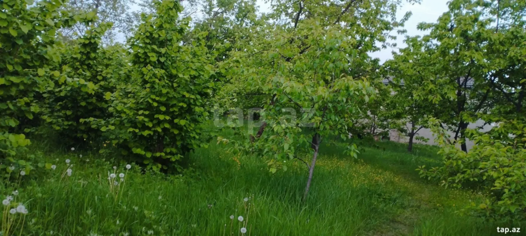 Kirayə verilir 4 otaqlı həyət evi 200 m²