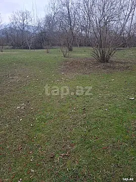 Satılır torpaq sahəsi — Qəbələ