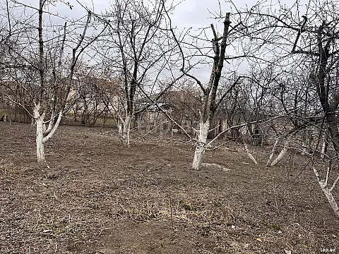 Satılır torpaq sahəsi — Quba