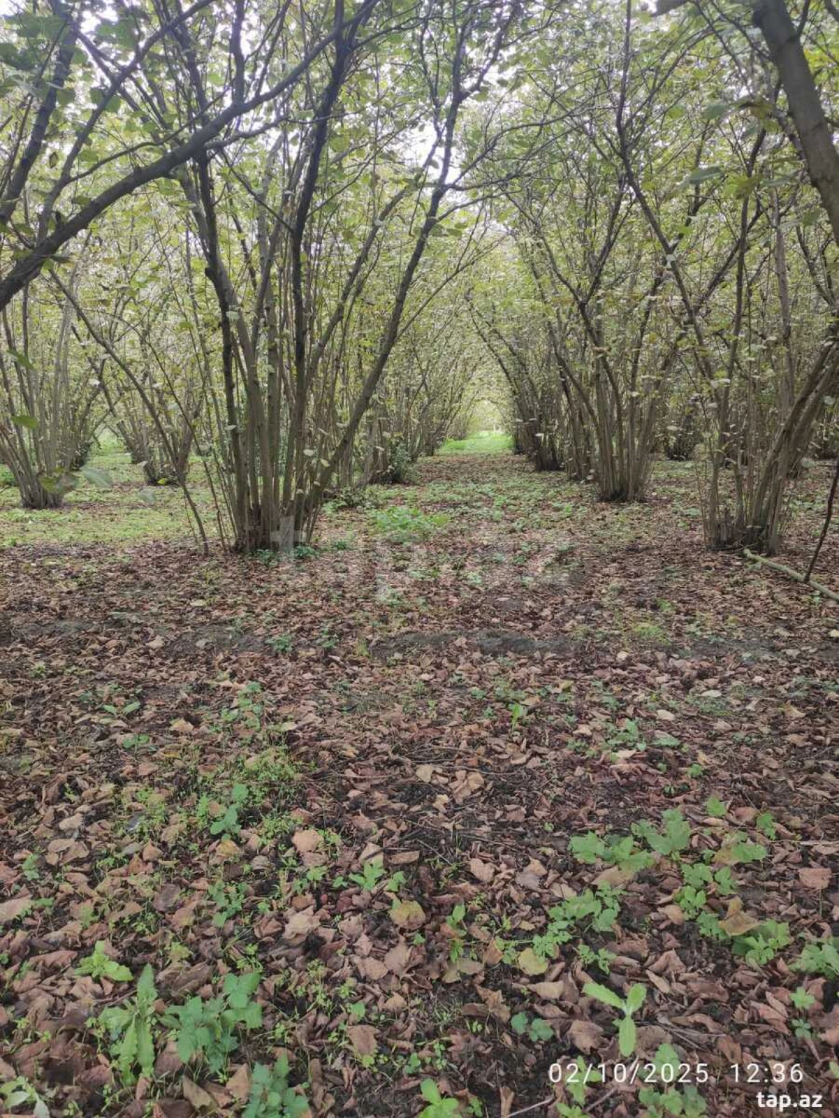 Satılır 1 otaqlı həyət evi 28 m²