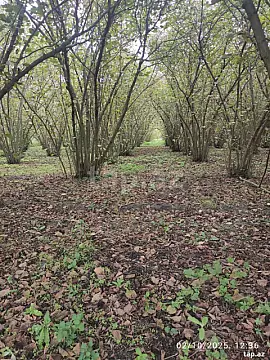 Satılır 1 otaqlı həyət evi 28 m² — Qusar 1 otaq 28.00 m²