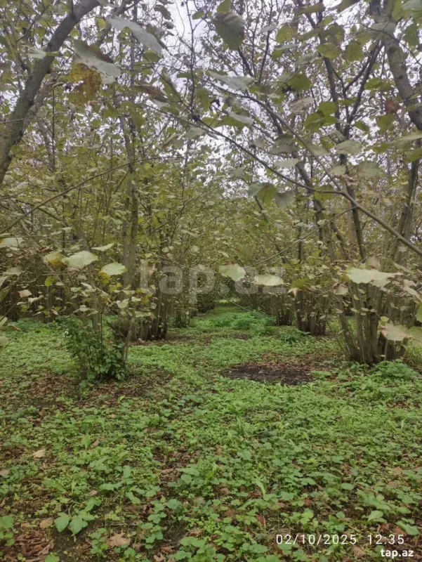 Satılır 1 otaqlı həyət evi 28 m²