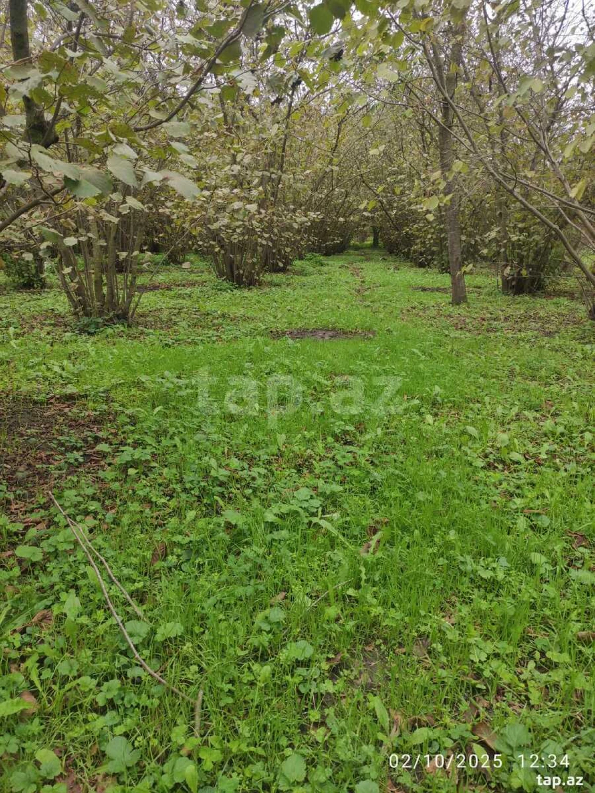 Satılır 1 otaqlı həyət evi 28 m²