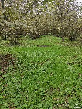 Satılır 1 otaqlı həyət evi 28 m²