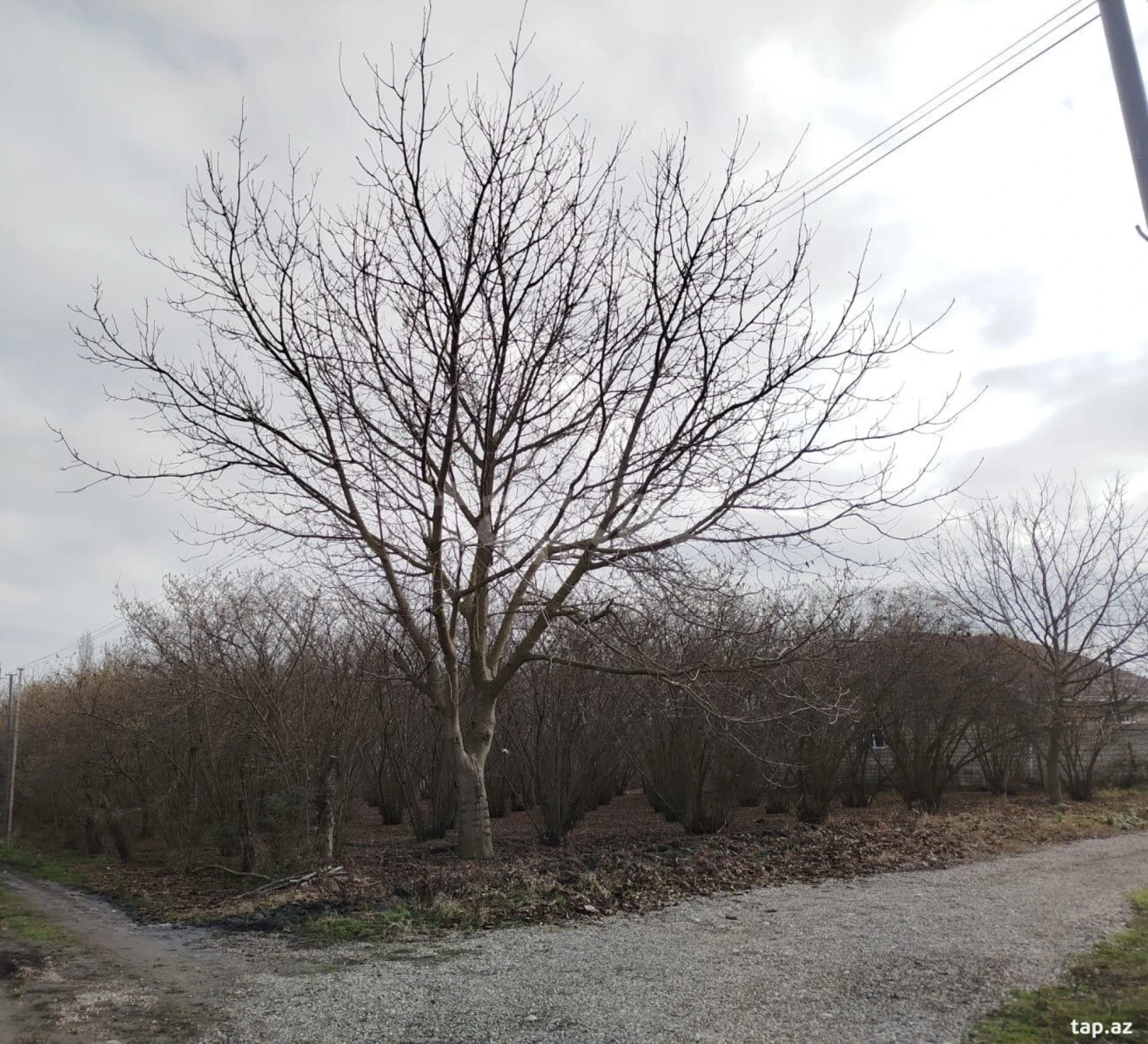 Satılır 1 otaqlı həyət evi 28 m²