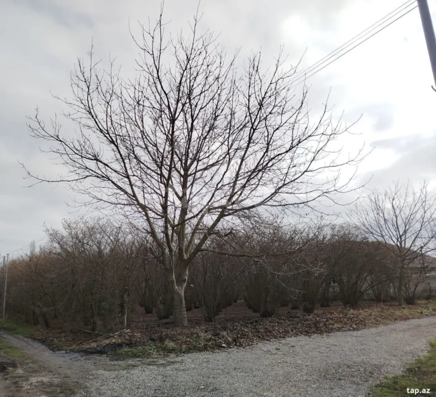 Satılır 1 otaqlı həyət evi 28 m²