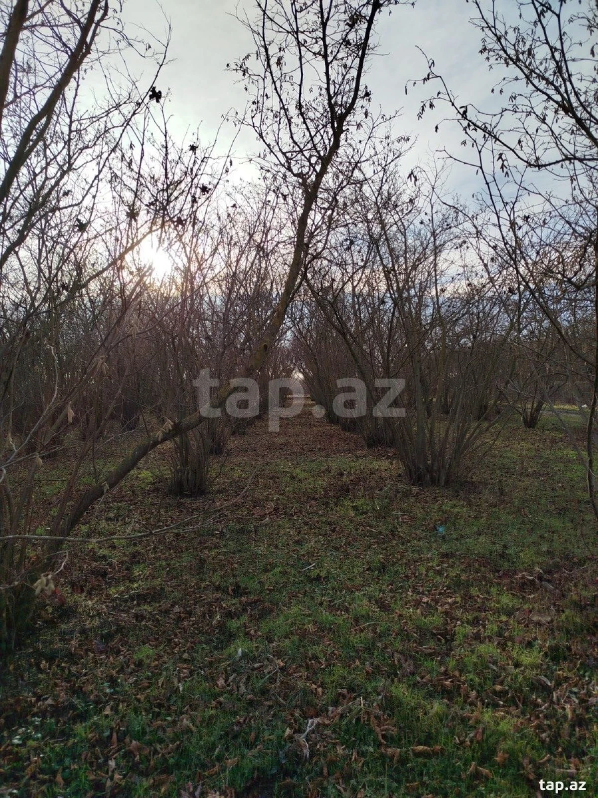 Satılır 1 otaqlı həyət evi 28 m²