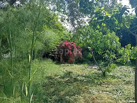 Satılır torpaq sahəsi — İsmayıllı