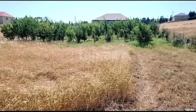 Satılır torpaq sahəsi — Tovuz