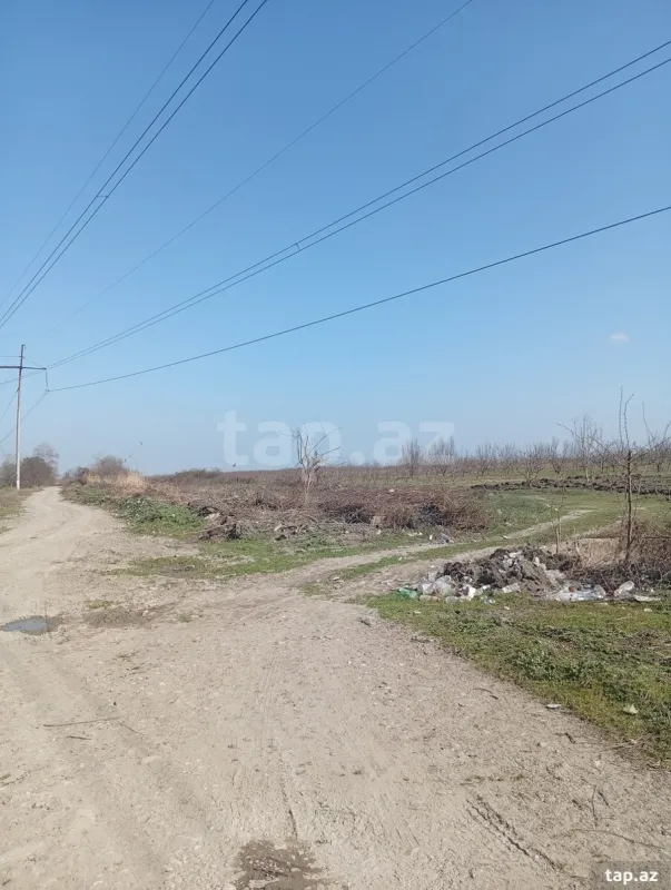 Satılır torpaq sahəsi