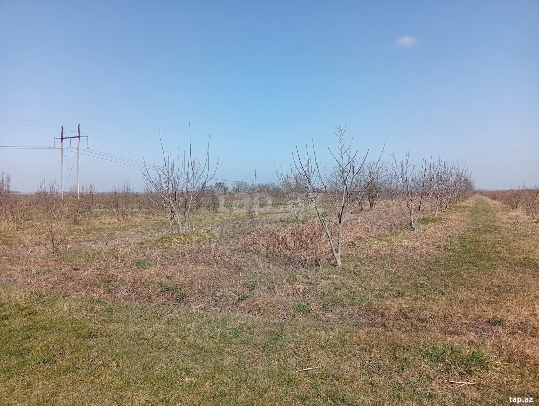 Satılır torpaq sahəsi