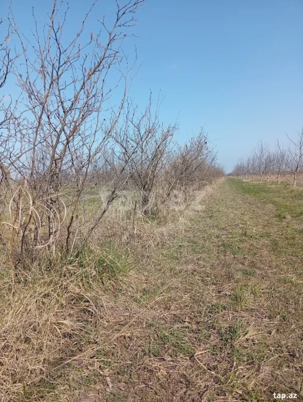 Satılır torpaq sahəsi