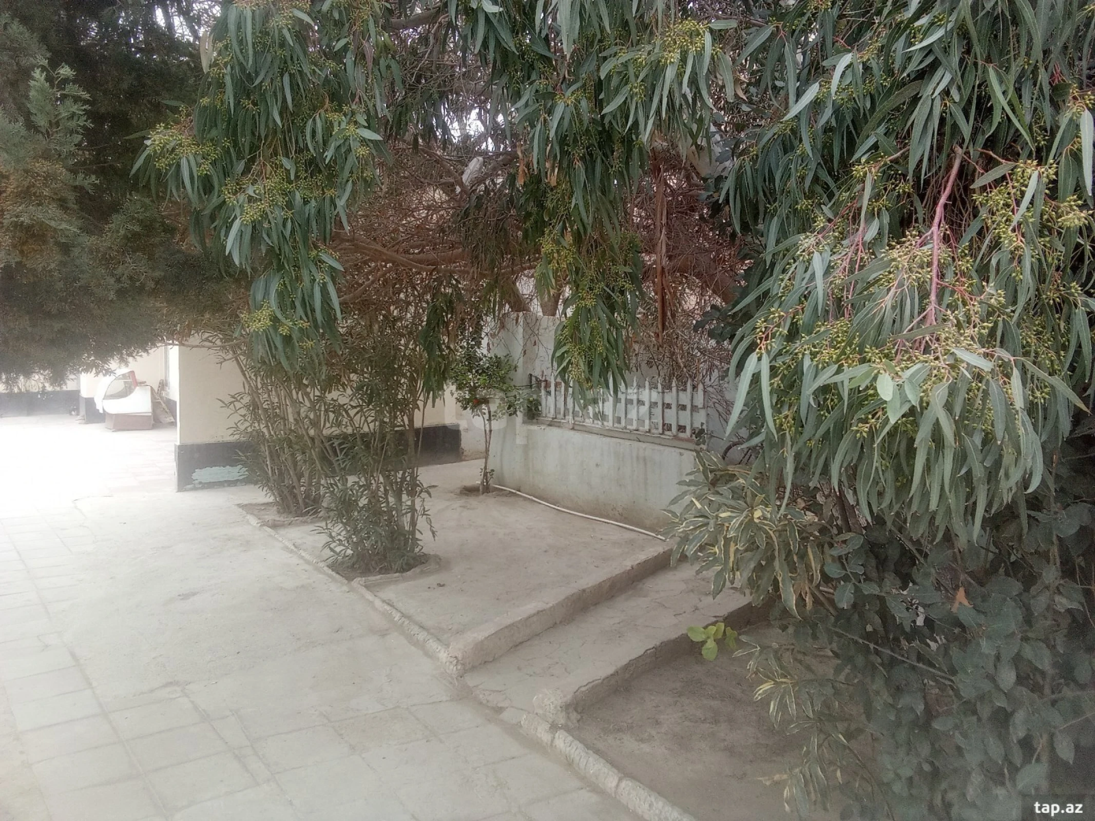 Kirayə verilir obyekt