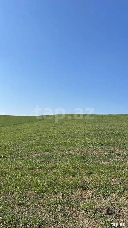 Satılır torpaq sahəsi