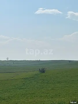 Satılır torpaq sahəsi — Qusar