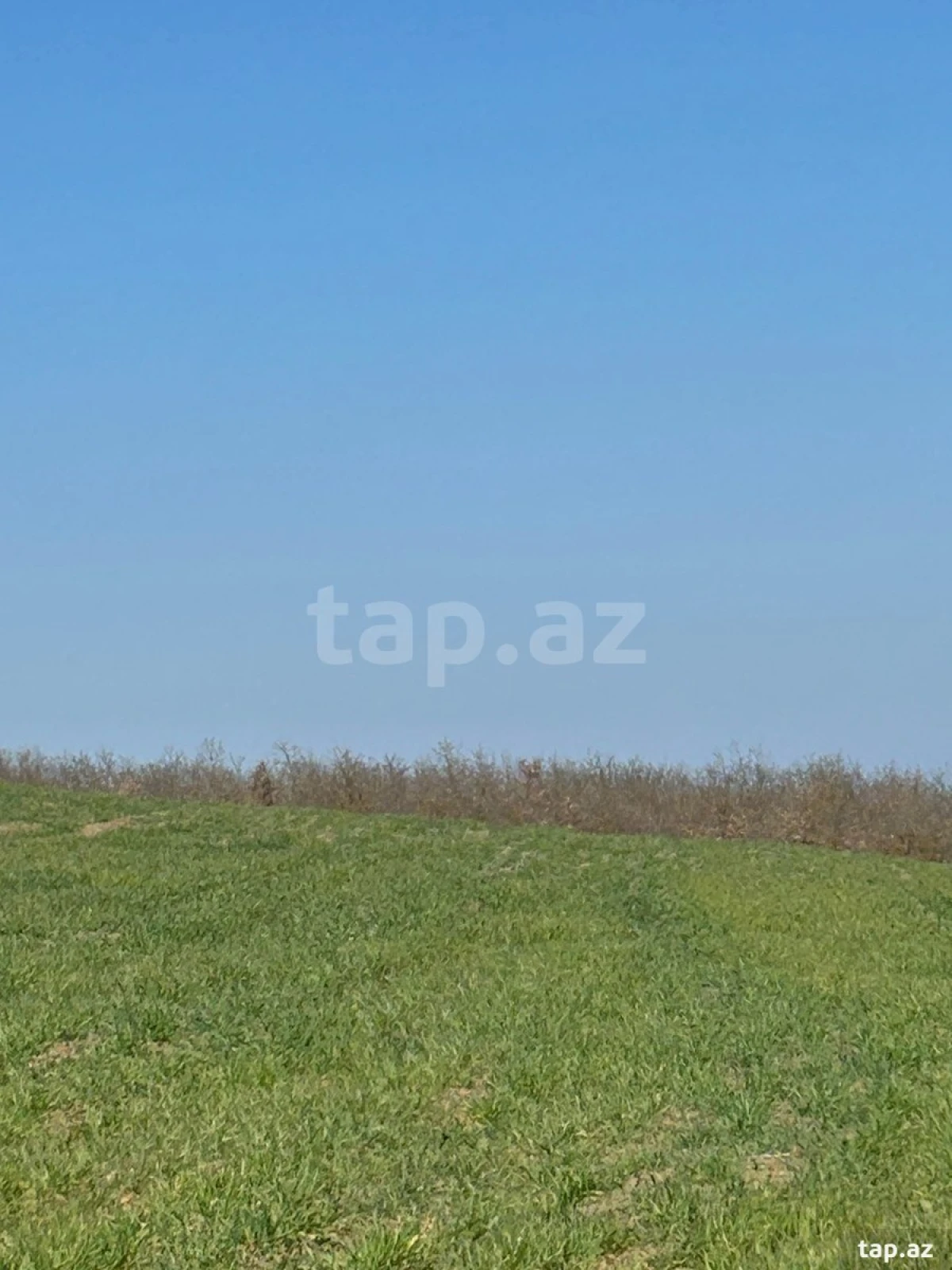 Satılır torpaq sahəsi