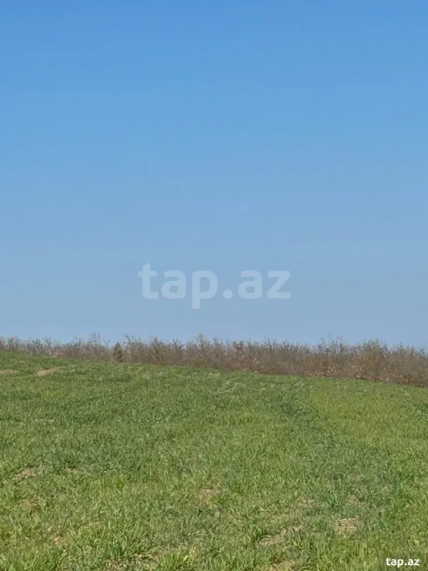 Satılır torpaq sahəsi