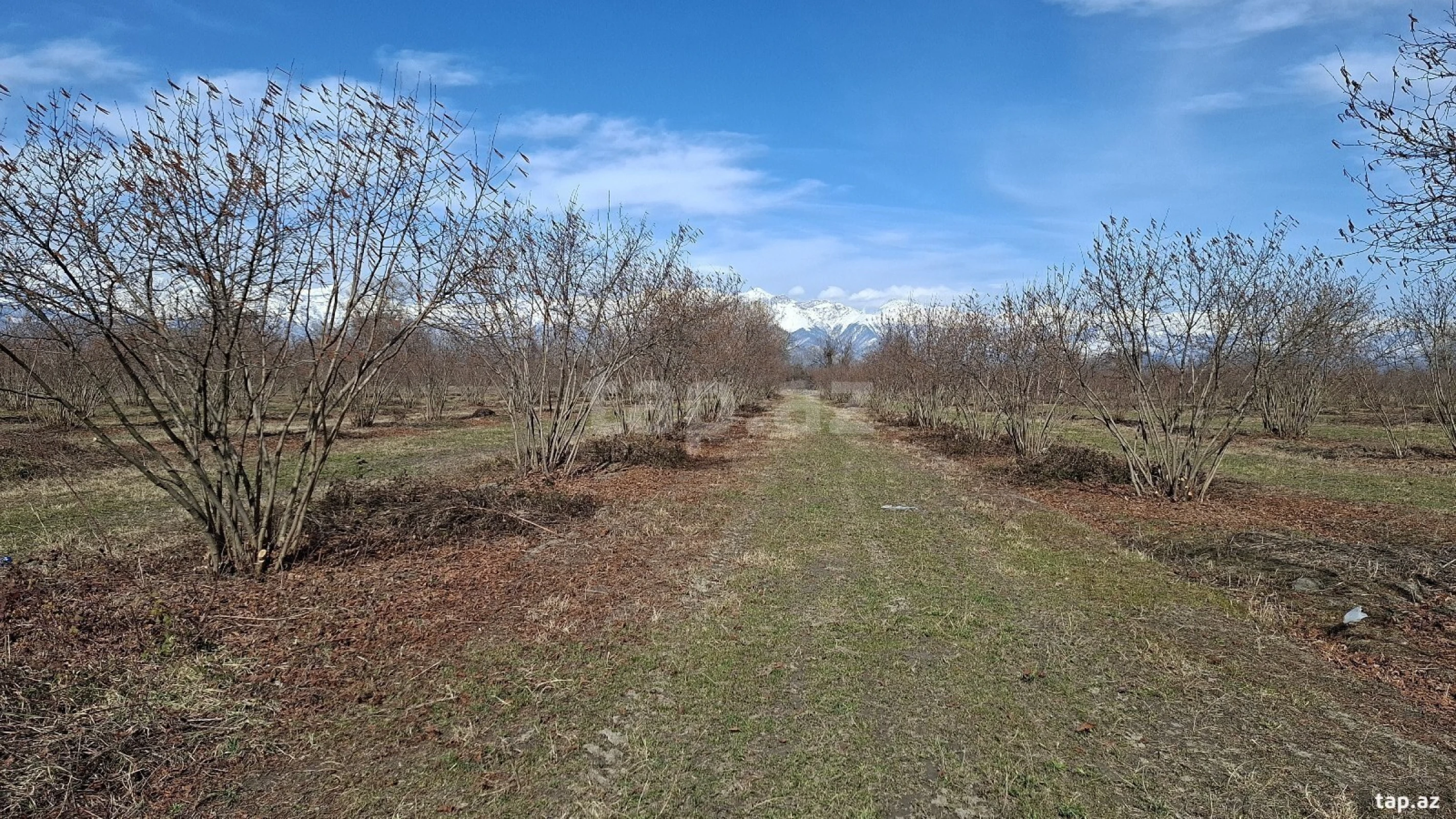 Satılır torpaq sahəsi