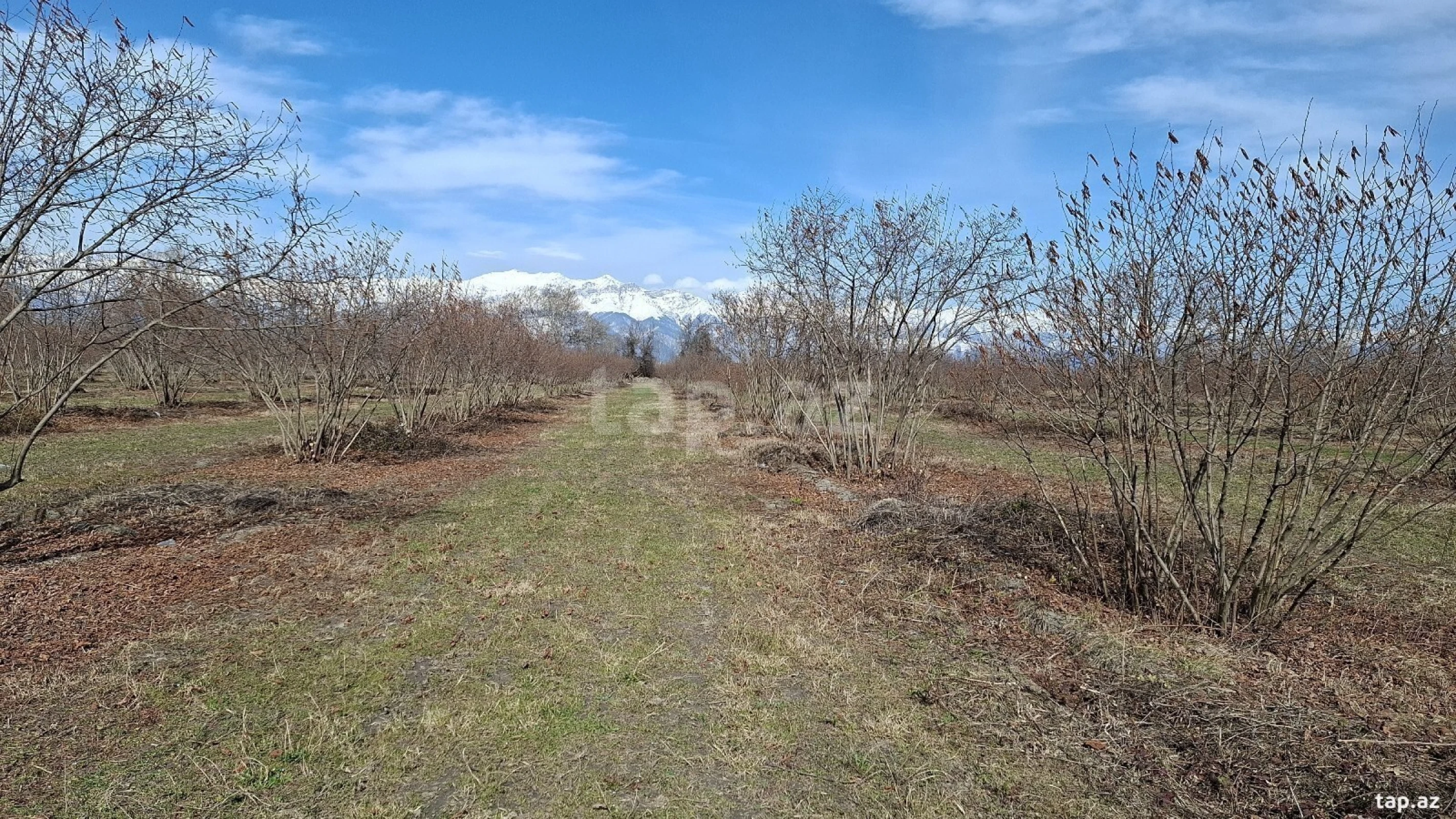 Satılır torpaq sahəsi