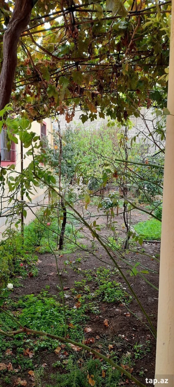 Kirayə verilir 3 otaqlı həyət evi 160 m²