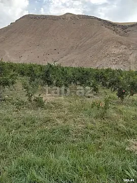 Satılır torpaq sahəsi — Qobustan, Qobustan qəs.