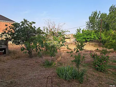 Satılır torpaq sahəsi — Bakı