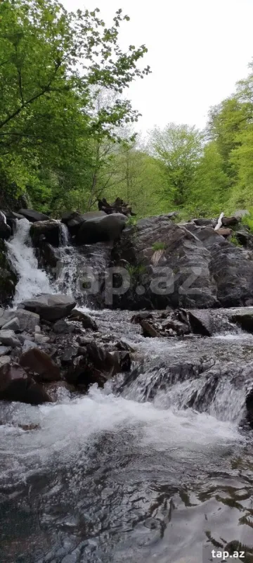 Kirayə verilir 3 otaqlı həyət evi 60 m²