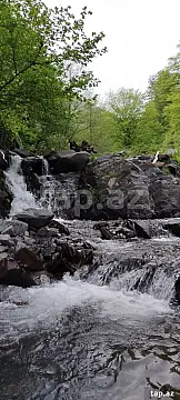 Kirayə verilir 3 otaqlı həyət evi 60 m²