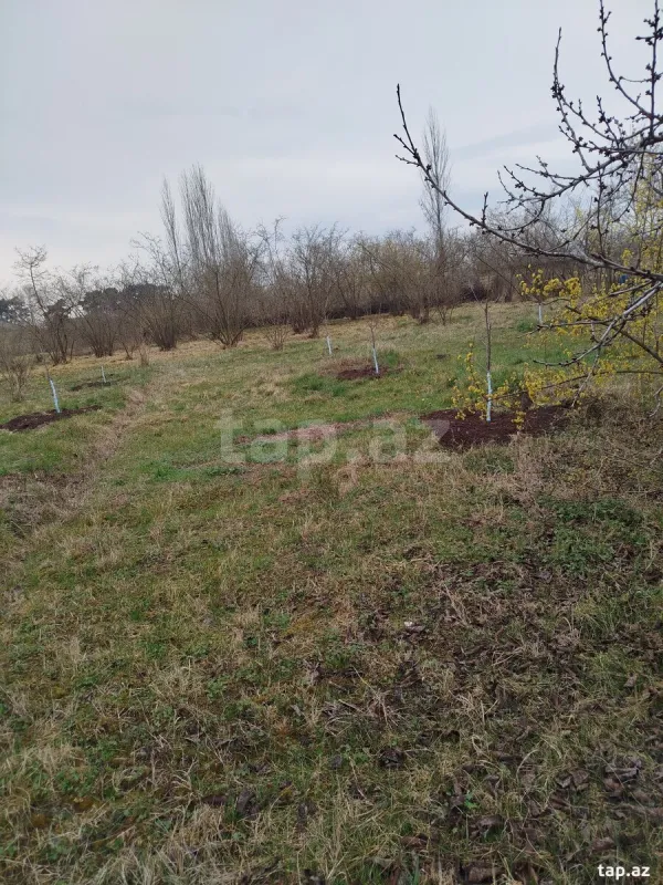 Satılır torpaq sahəsi