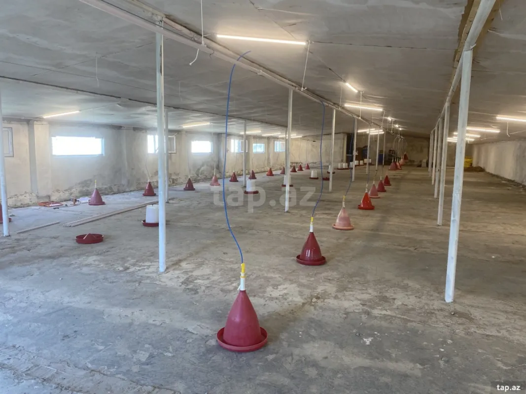 Kirayə verilir obyekt