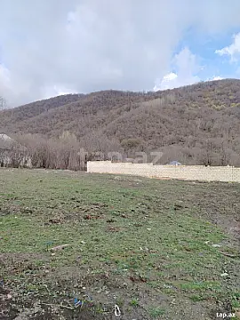 Satılır torpaq sahəsi — Qəbələ