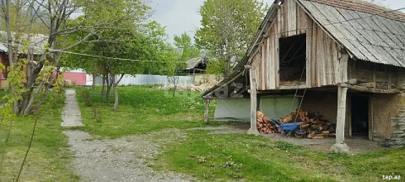 Satılır torpaq sahəsi — Qəbələ