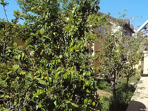 Satılır 5 otaqlı həyət evi 450 m²