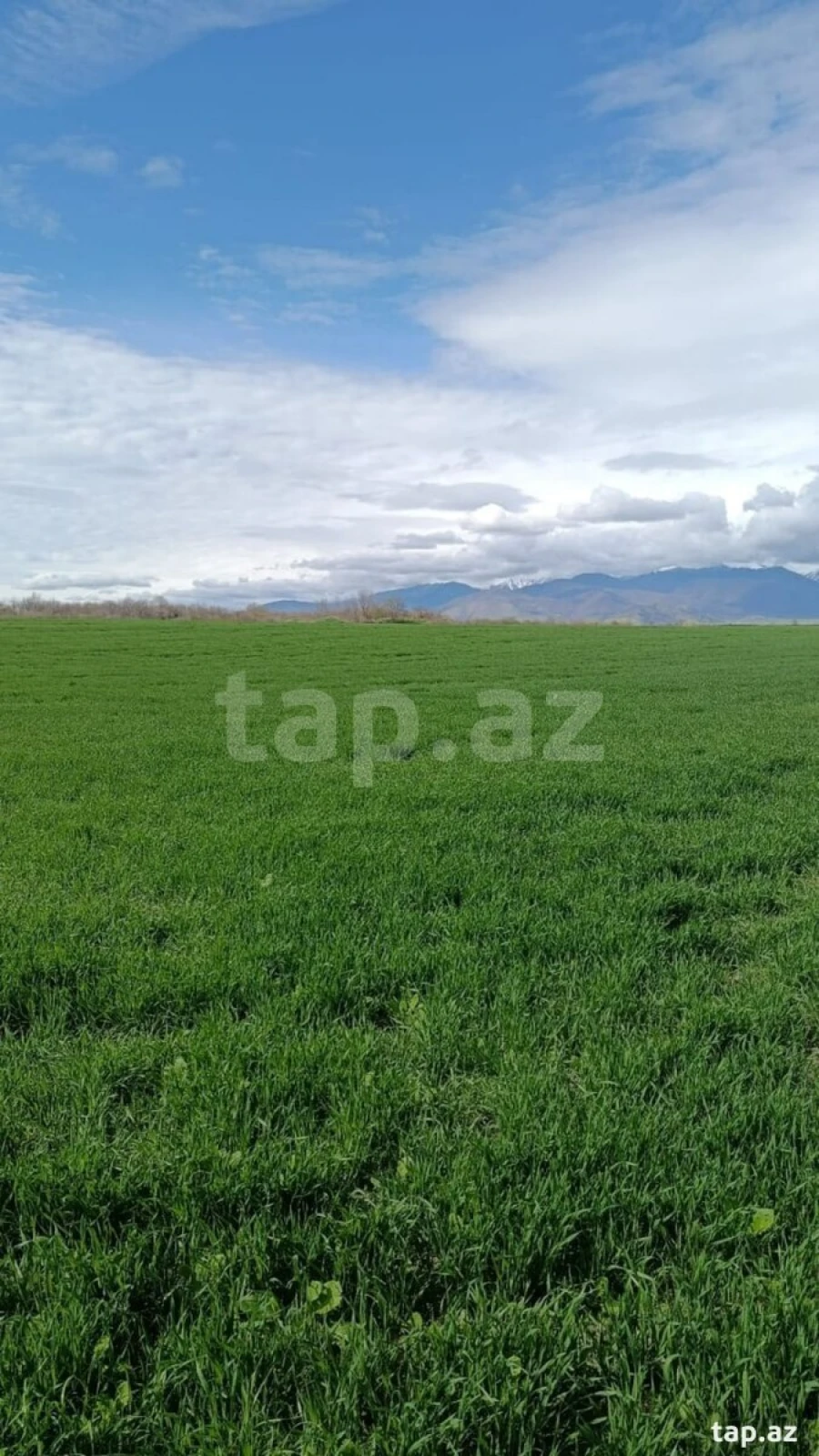 Satılır torpaq sahəsi