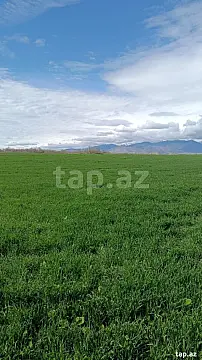 Satılır torpaq sahəsi — İsmayıllı